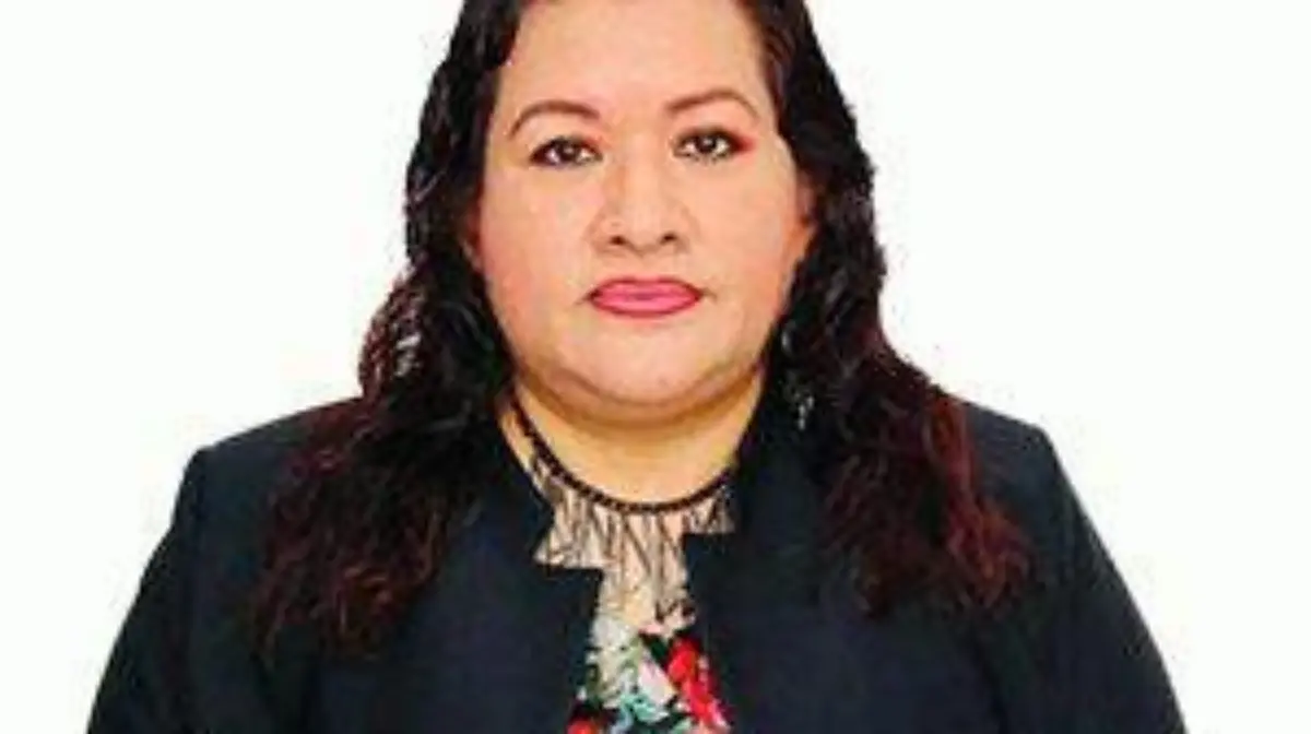 consejera, ine, candidatos