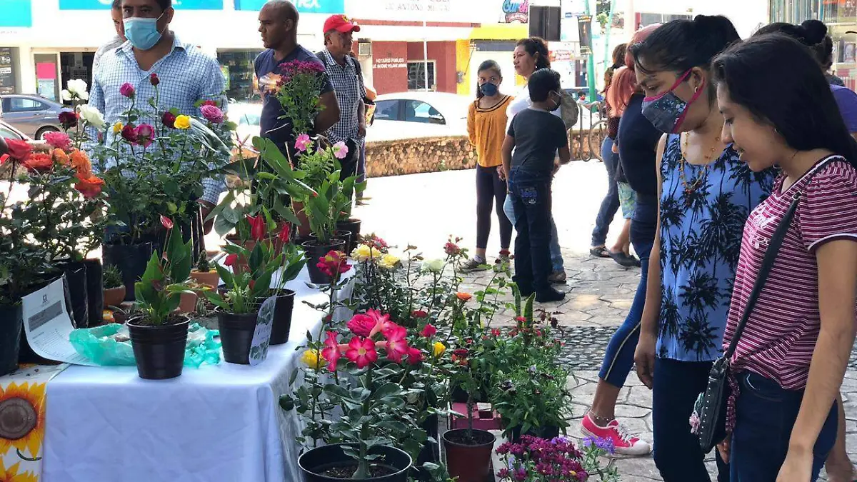bazar