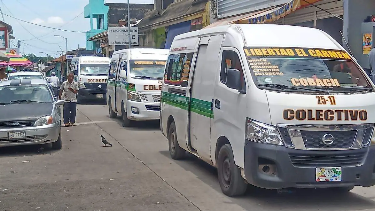 transporte i
