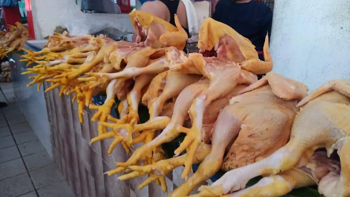 pollo1