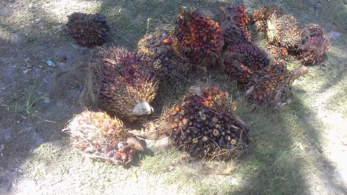 WhatsApp Image 2022-02-01 at 3.30.50 PM