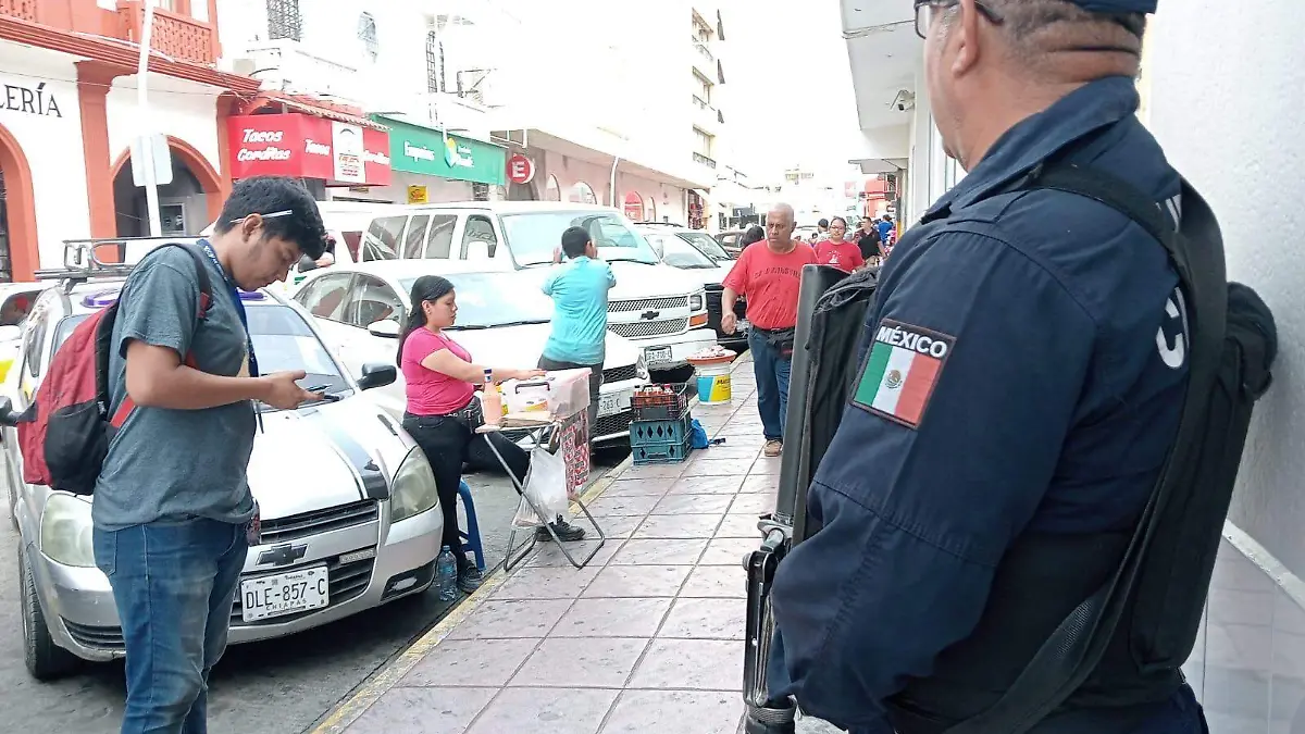 seguridad