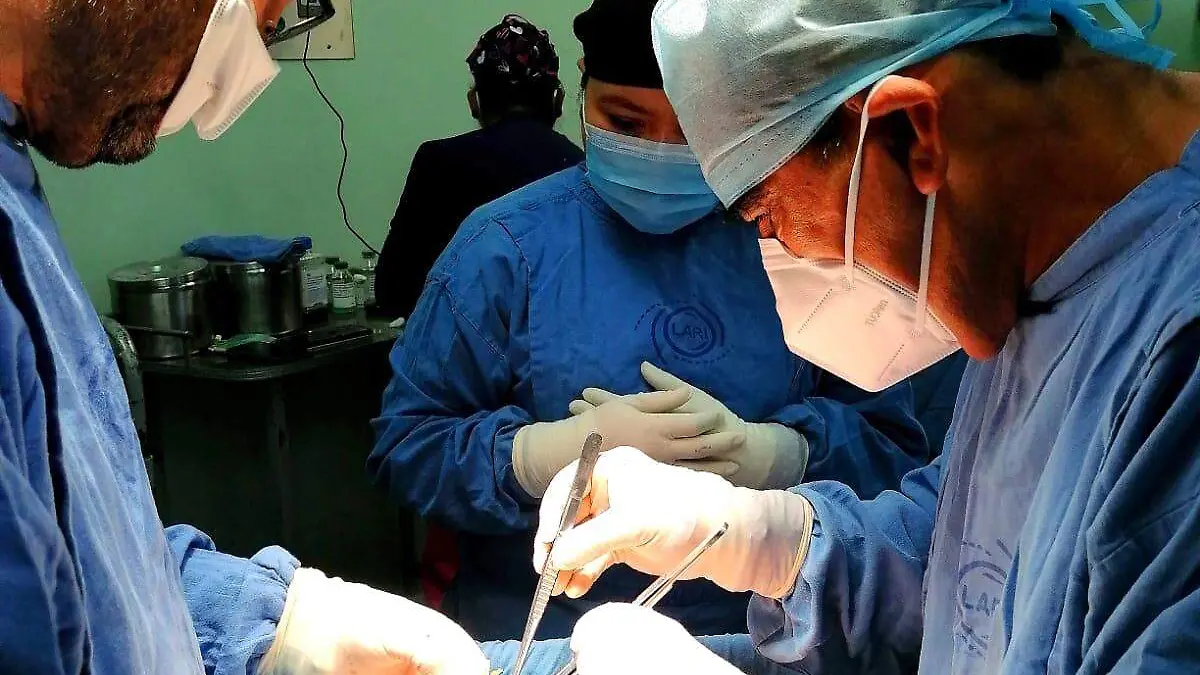 transplante3