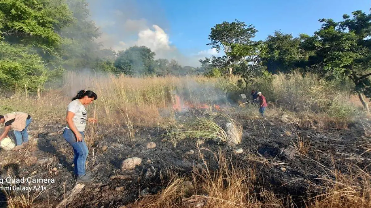 Incendio en pastizal