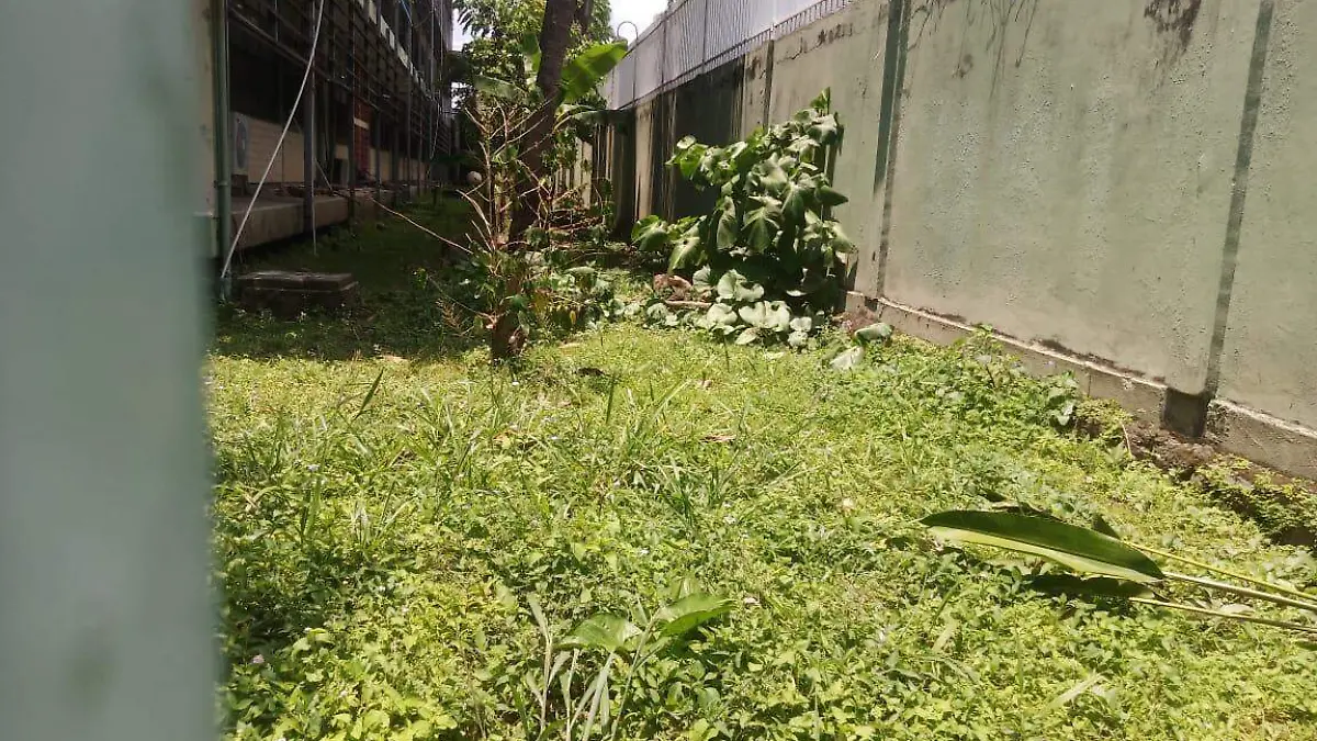 centros escolares en pesimas condiciones 3