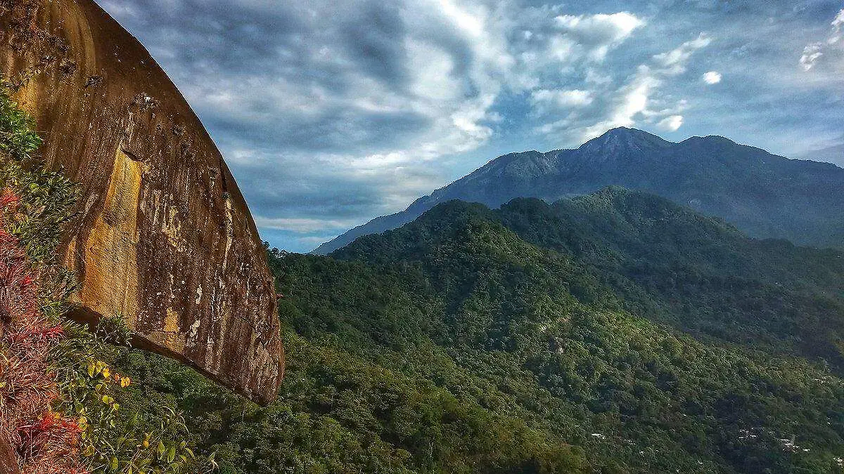 Pico de loro2