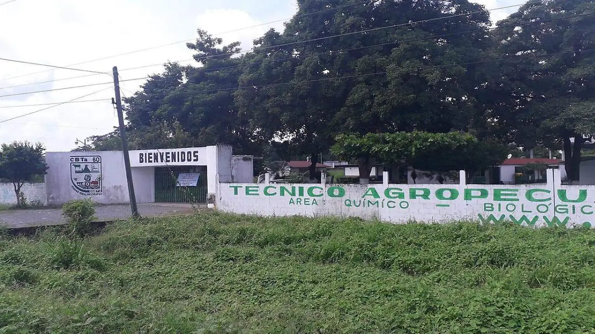 Escuela2