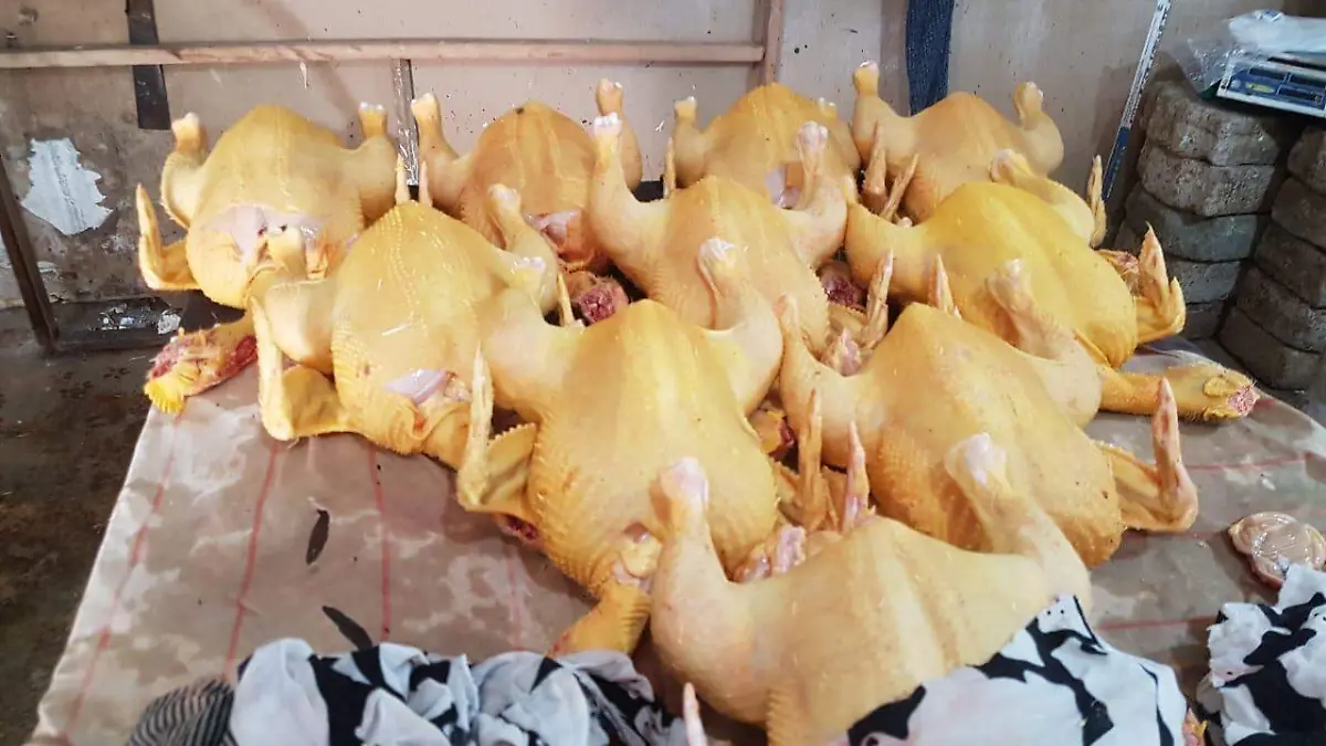 pollo desabasto