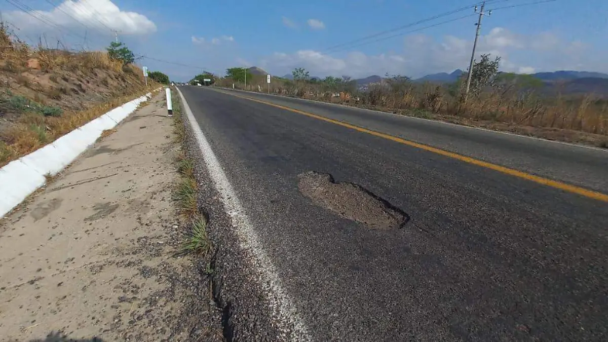 Bache Cintalapa