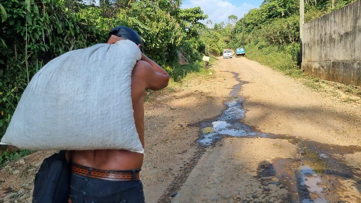 zona alta tapachula