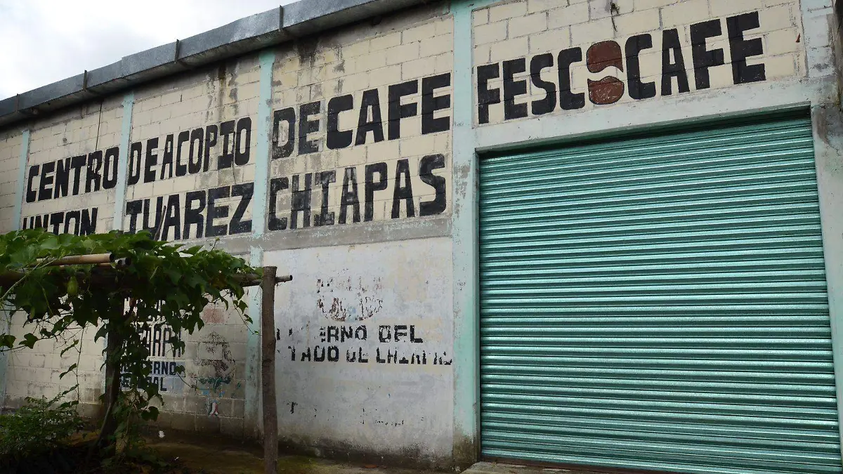 TORREFACTORA 1