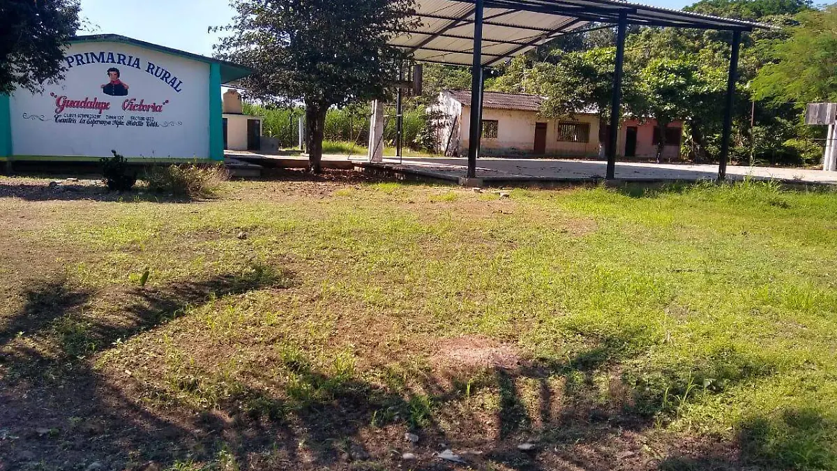 escuelas regreso a clases
