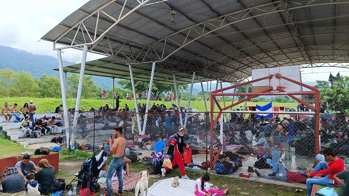 migrantes