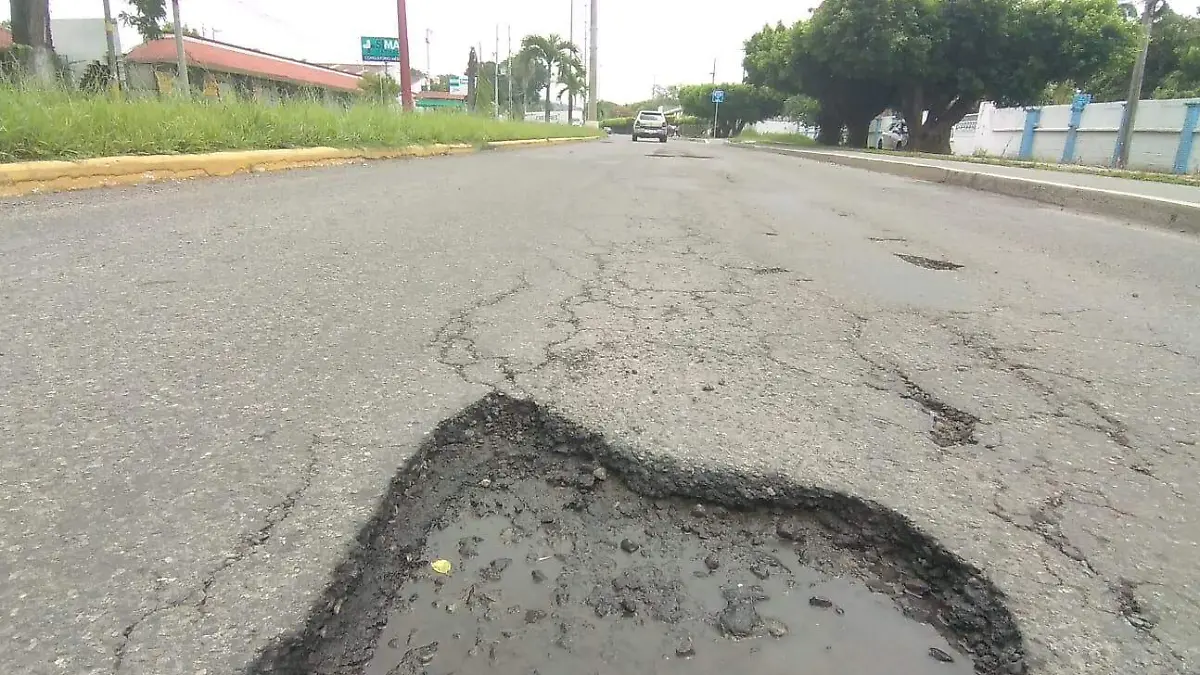 bache