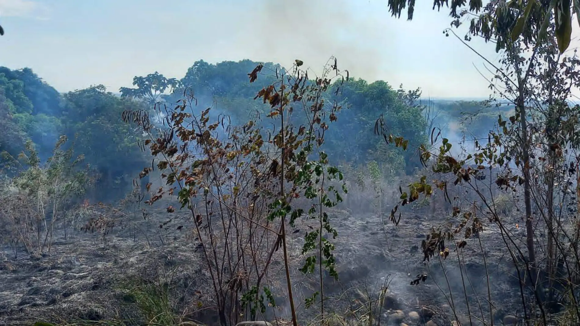 incendios