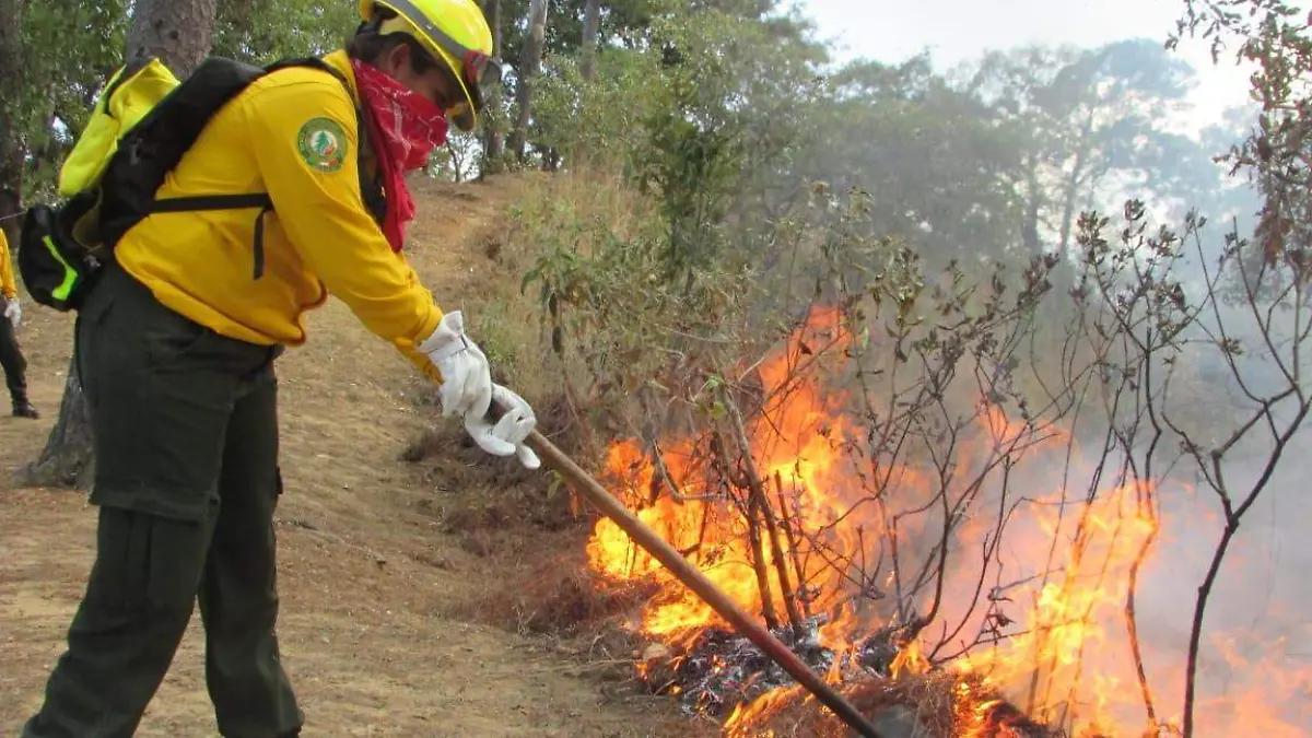 incendios en Chiapas
