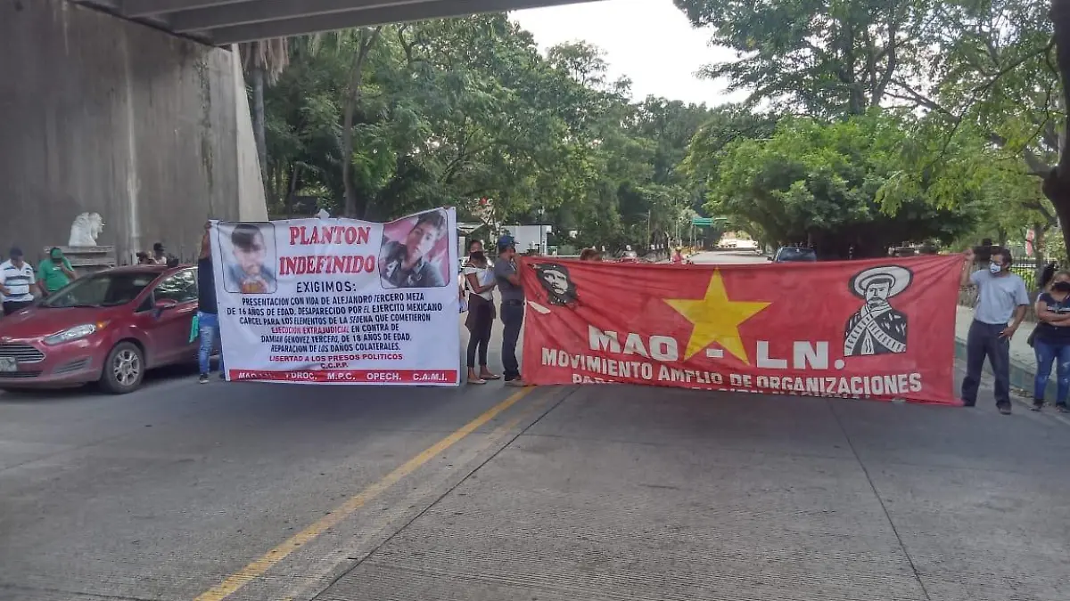 Manifestacion MAO-LN