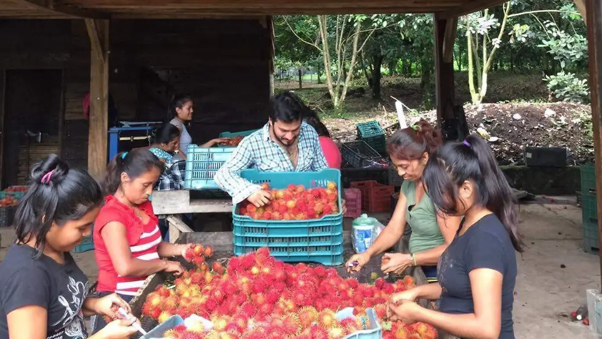 rambutan