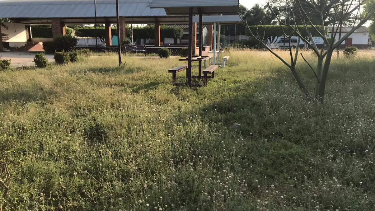 parque 3