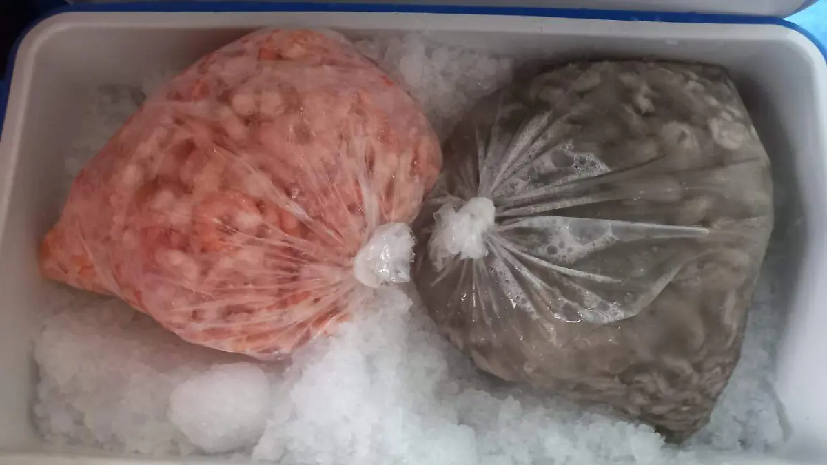 Alza en precio de mariscos