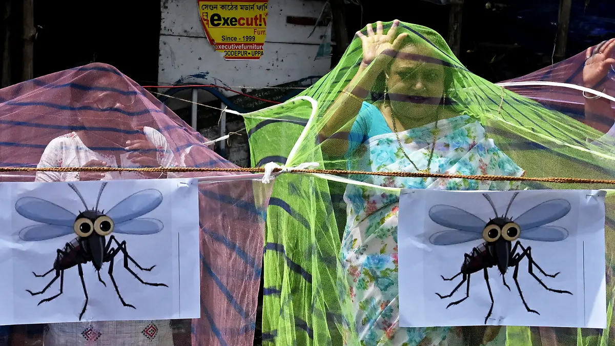 Dengue