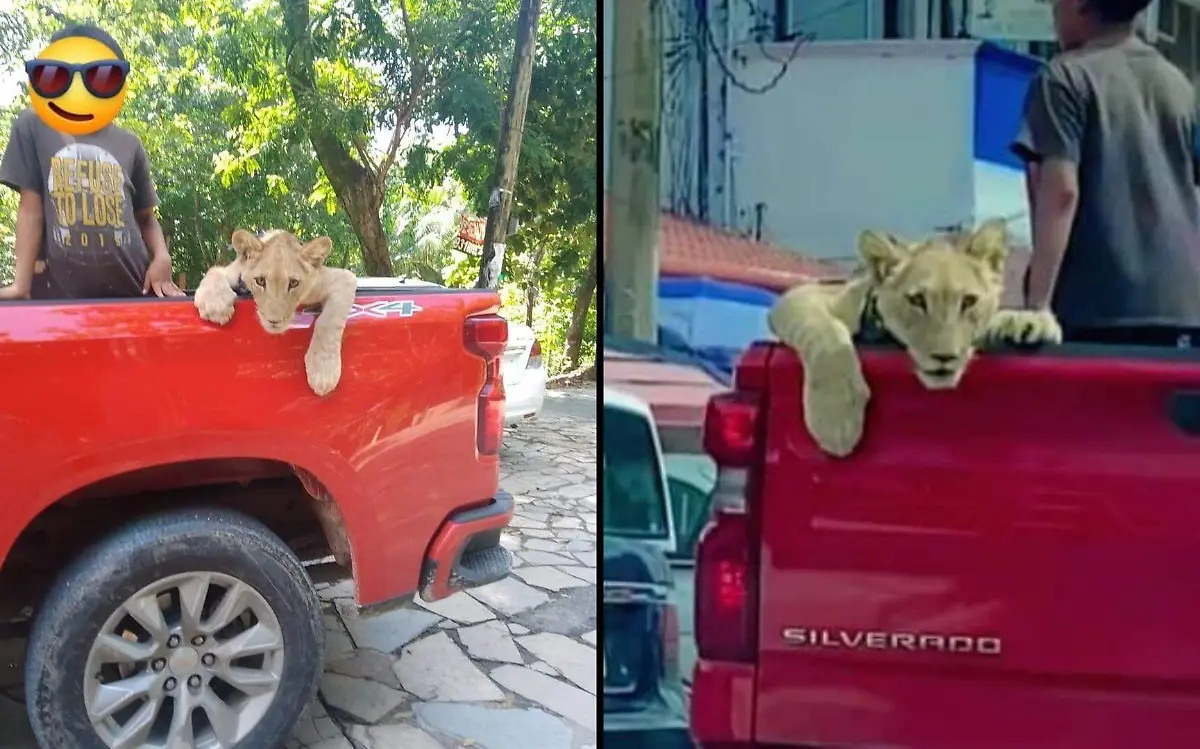 León
