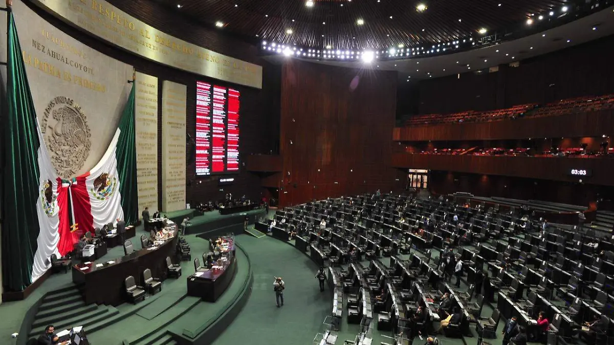 diputados covid LAURA LOVERA