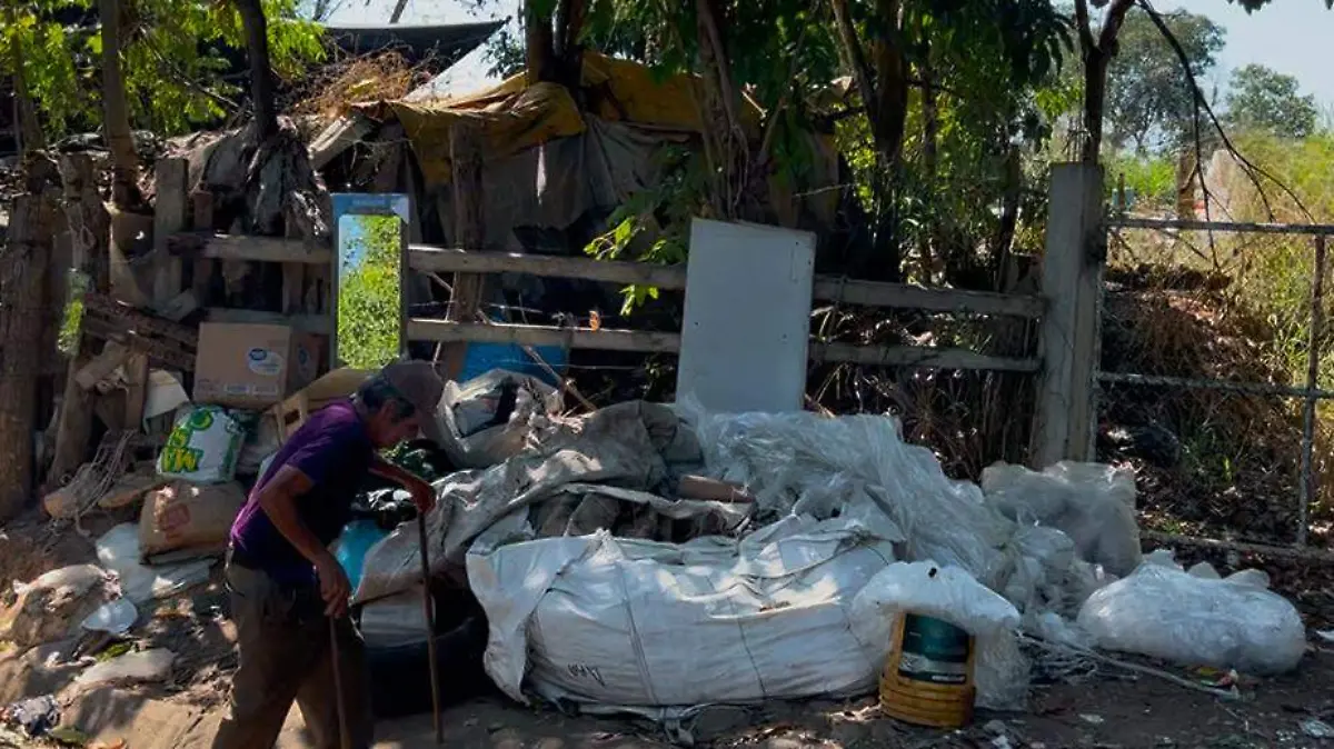 Señor recolectando PET