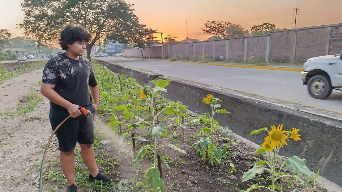 Regando plantas en el corredor