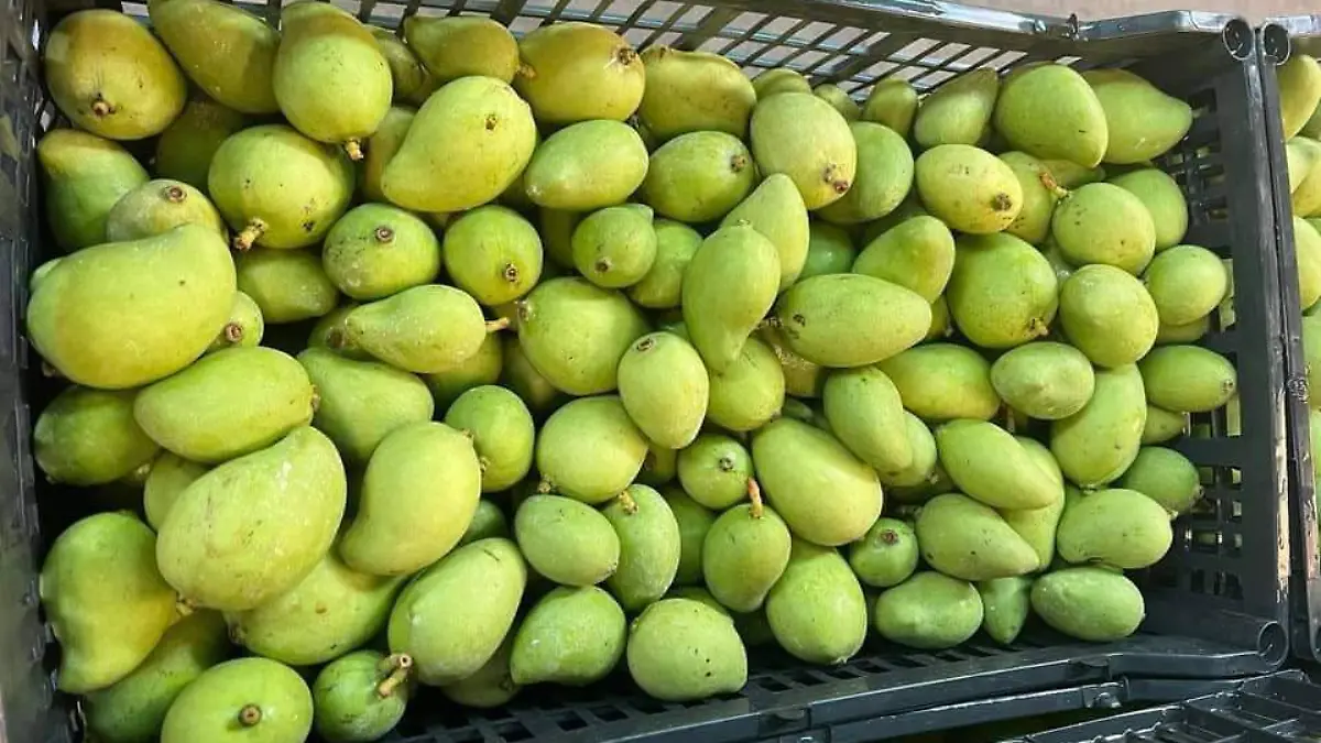 mangos2