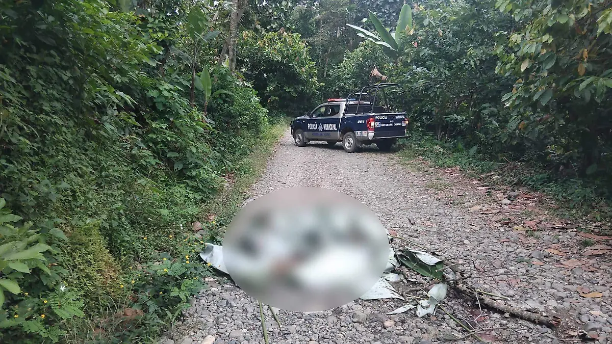 asesinado