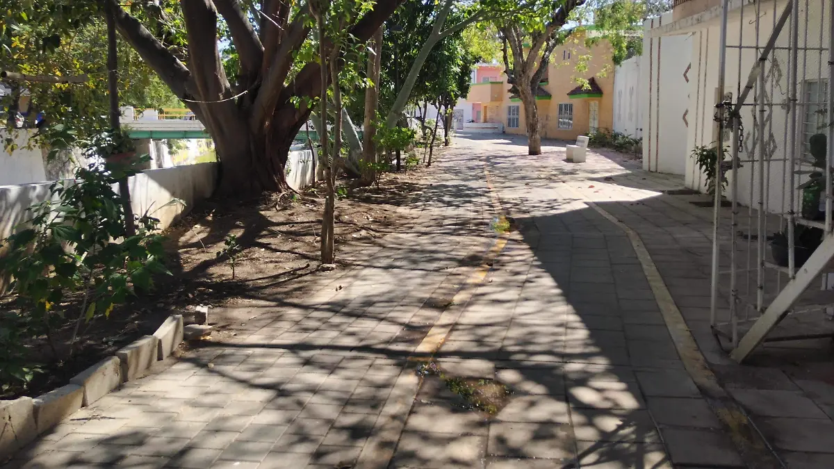 barrio andador sabinal