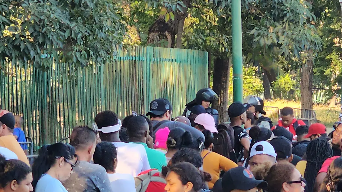 Largas cola en comar 