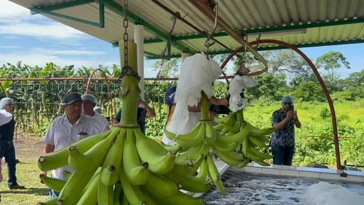 FB_IMG_1739128894150