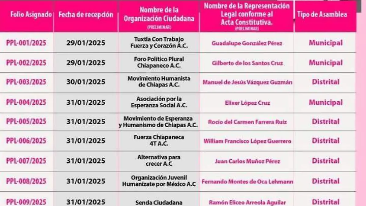 Proceso de registro partido político