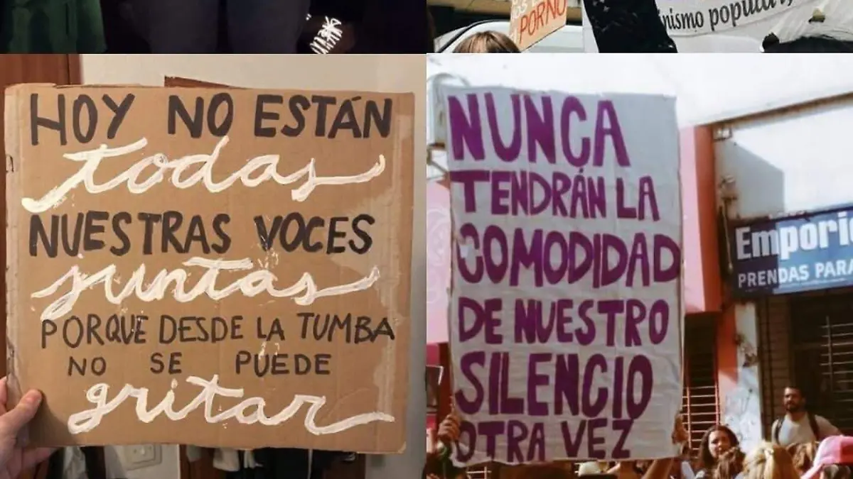 carteles 8m