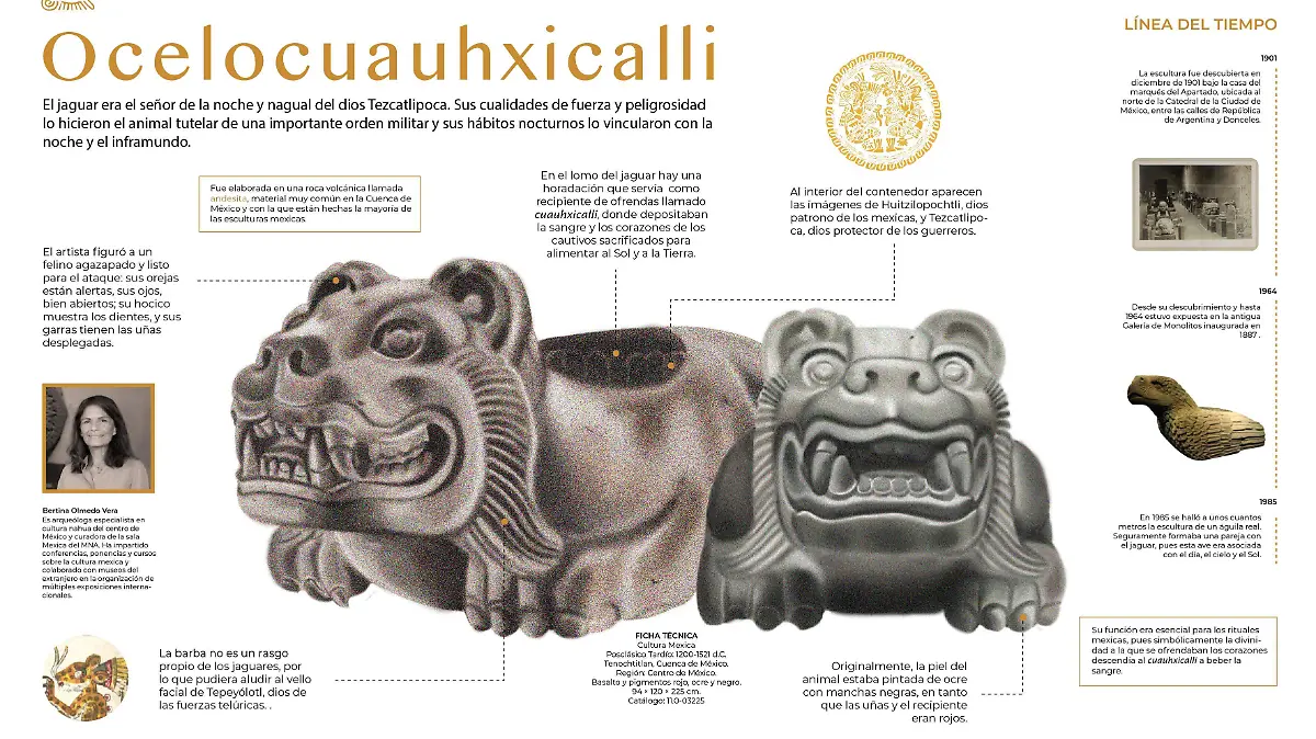 Infografía Ocelocuauhxicali