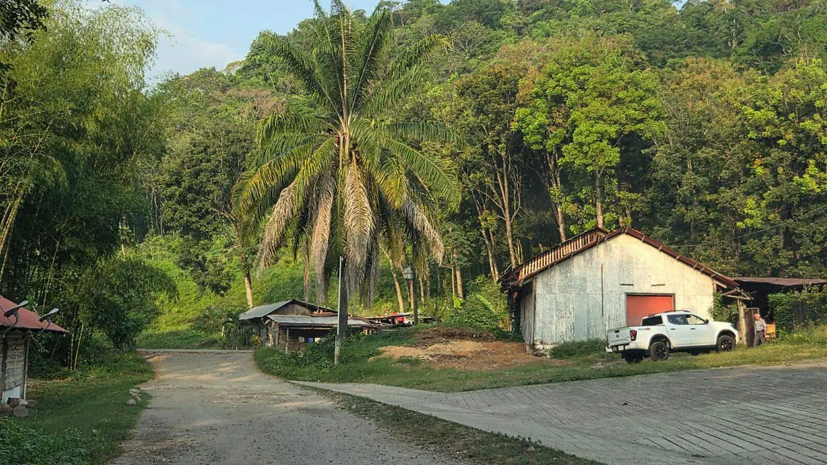 FINCA VEGA DE LOS GATOS