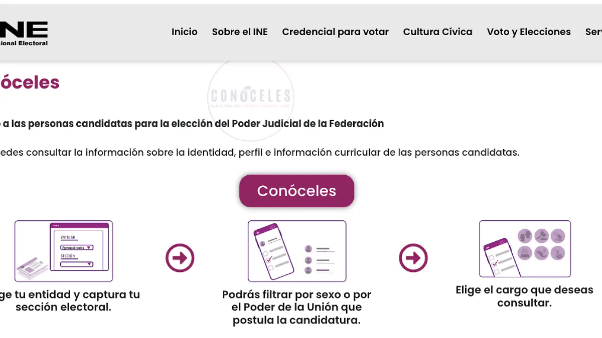 plataforma conóceles