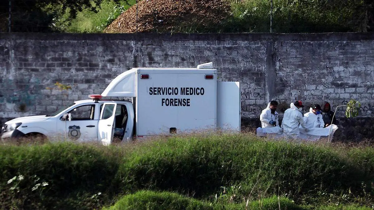 Servicio Médico Forense 