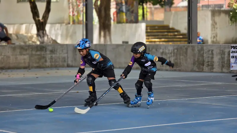 Hockey sobre ruedas 2