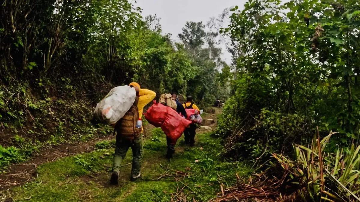 Hombres caminando con costales
