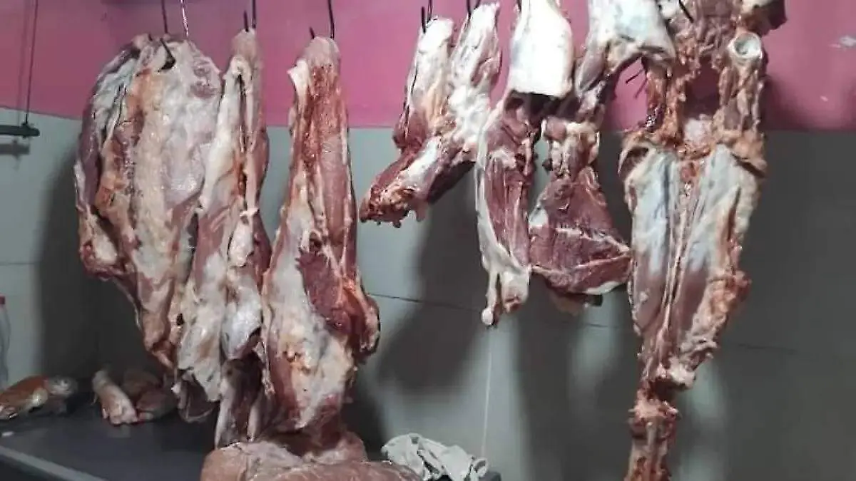 carne de res