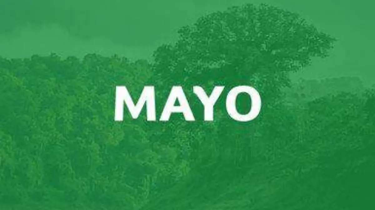 post_MAYO
