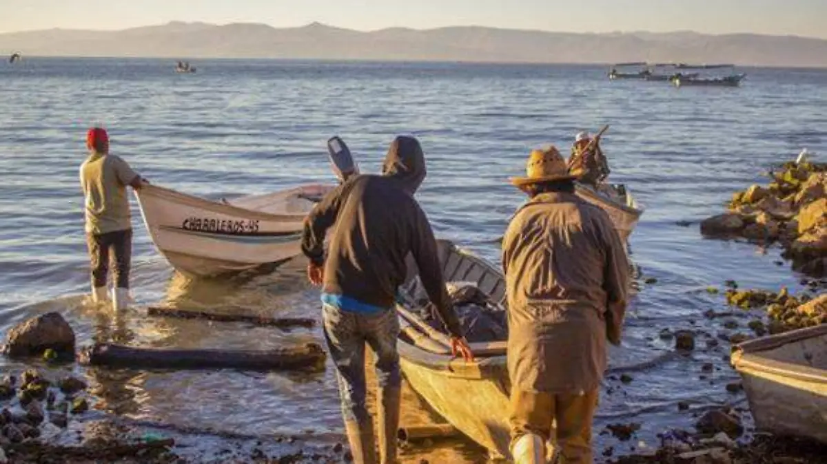 pesca