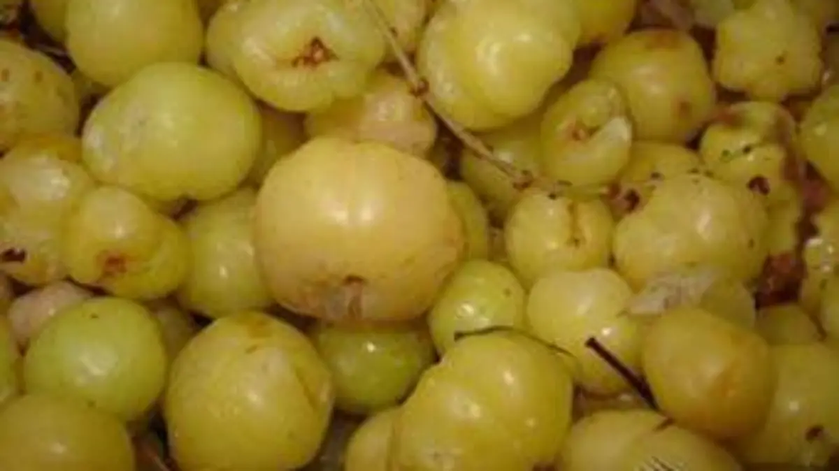 grosella