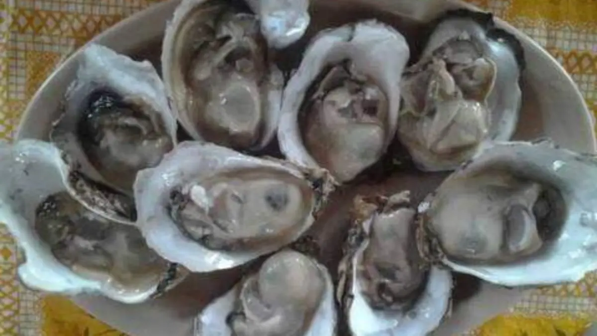 moluscos