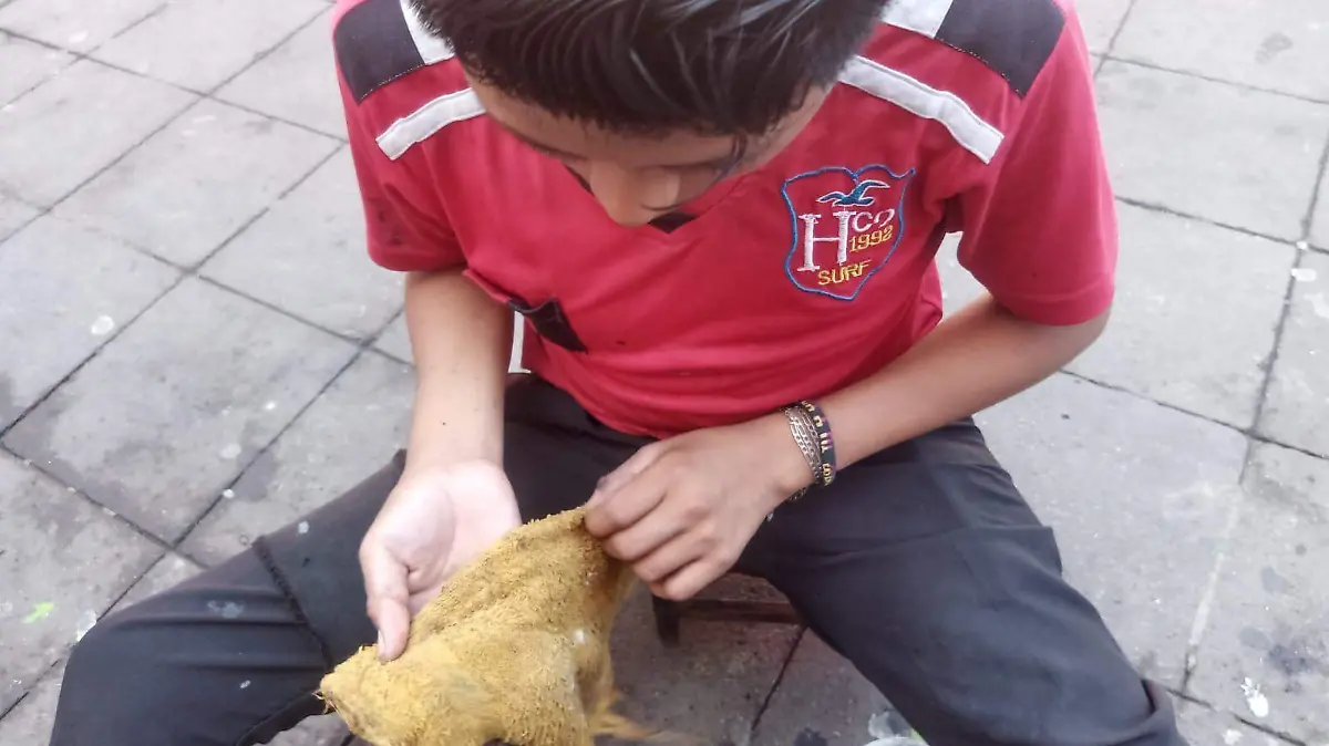 niños