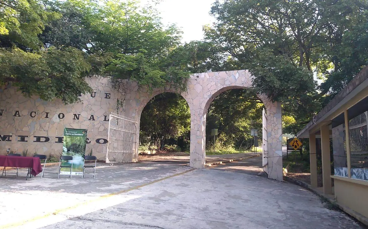 carñon