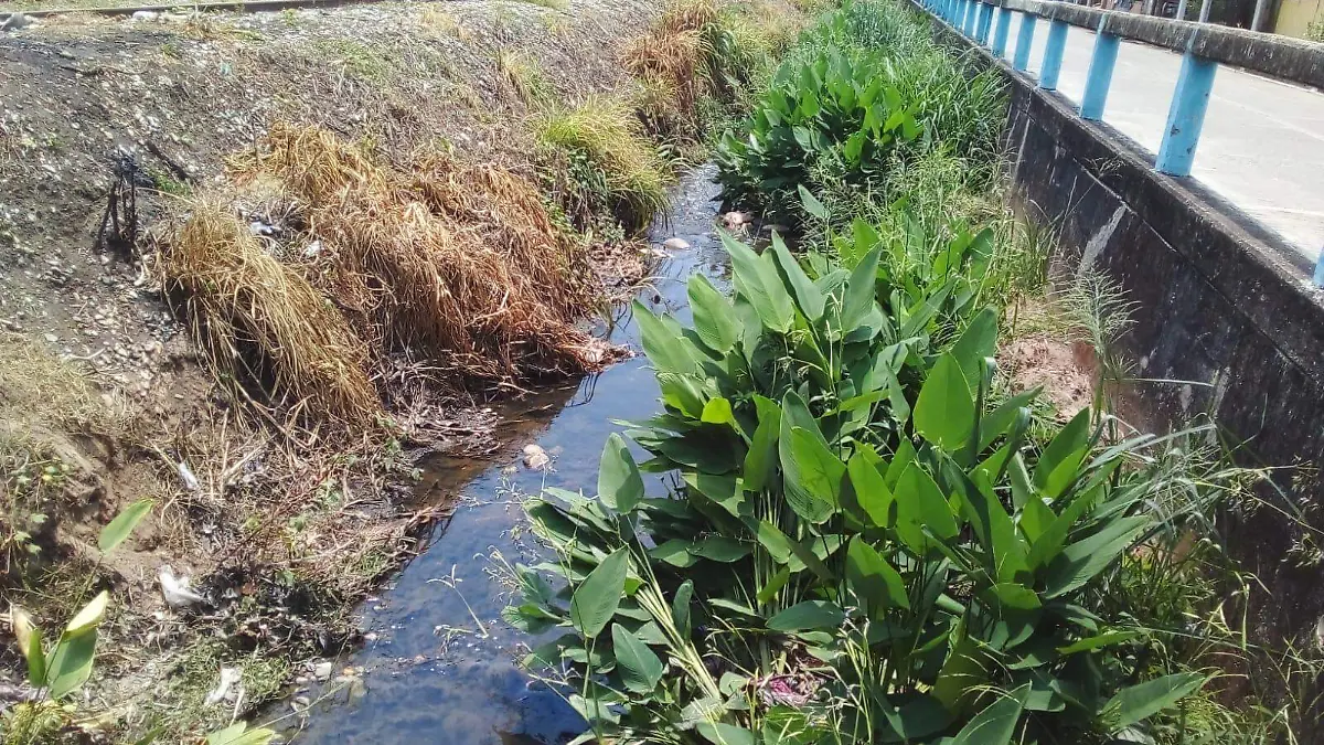 arroyo